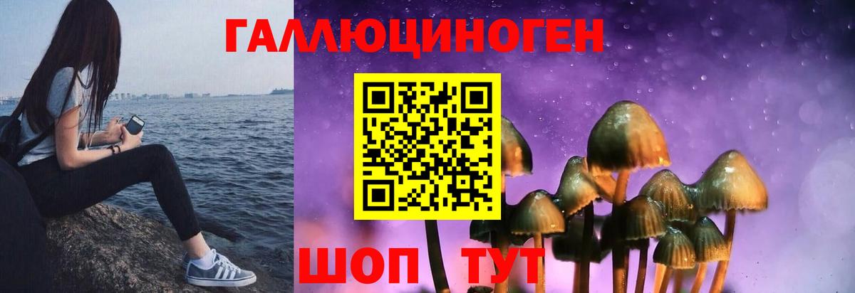 Галлюциногенные грибы Psilocybine cubensis Люберцы